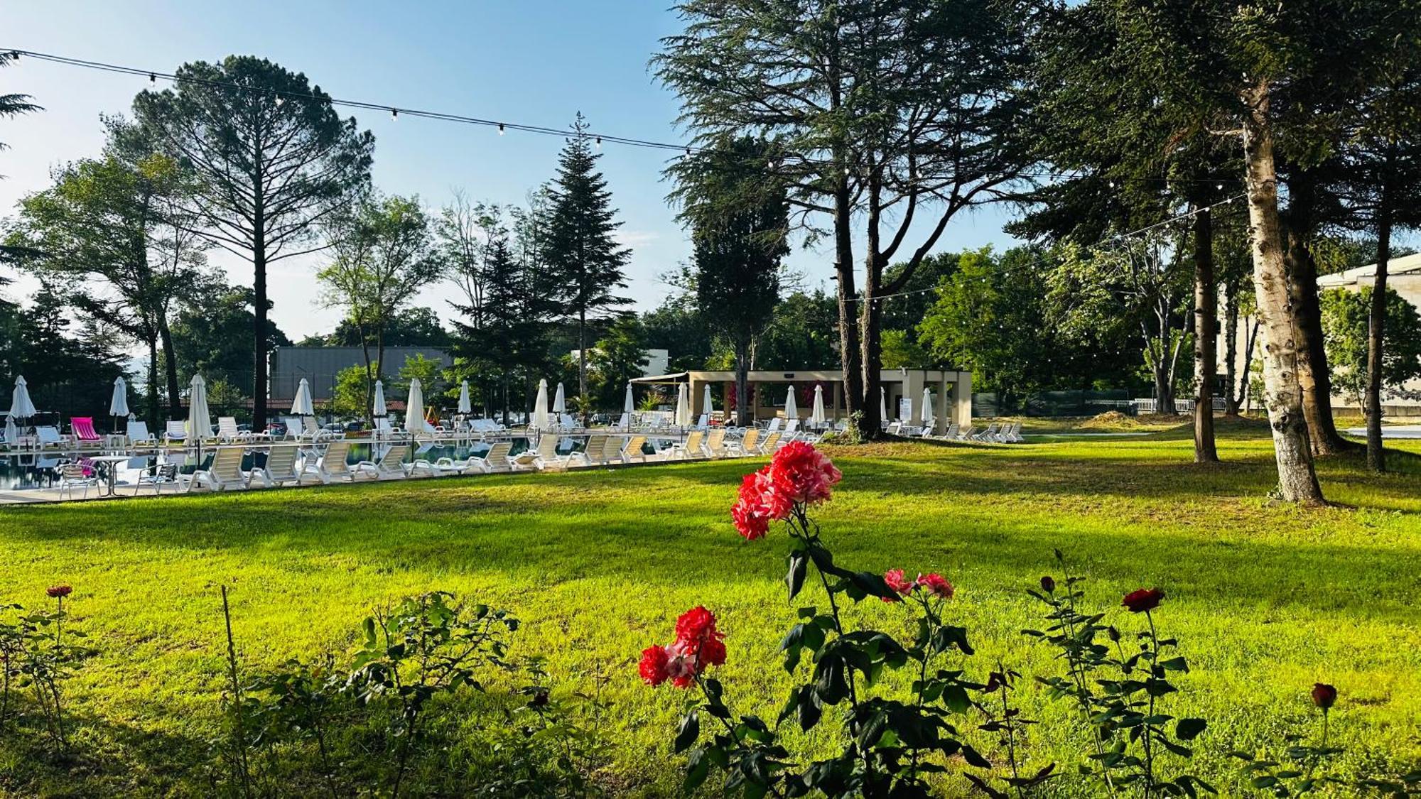 Queen Nelly Park Kiten  Zewnętrze zdjęcie