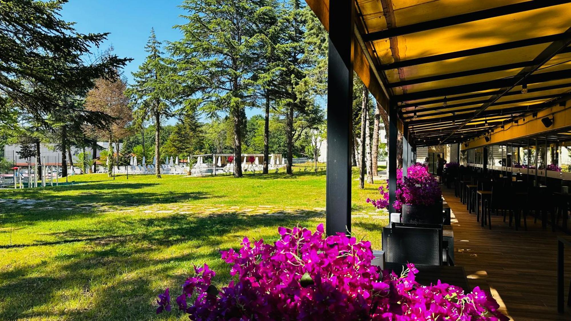 Queen Nelly Park Kiten  Zewnętrze zdjęcie
